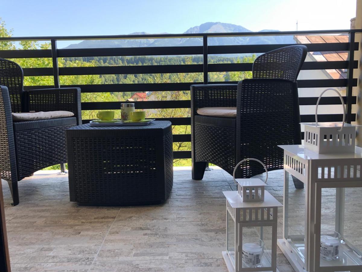 Villa Maya Borşa エクステリア 写真