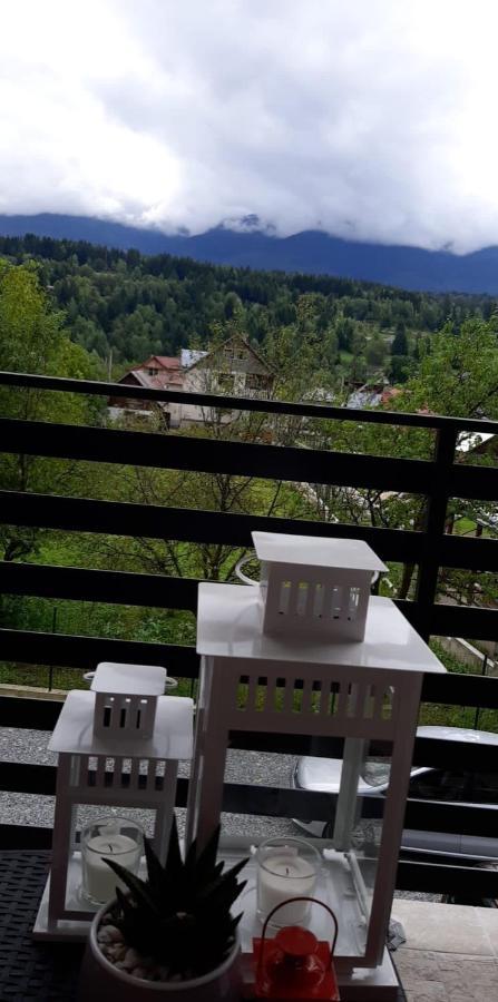 Villa Maya Borşa エクステリア 写真
