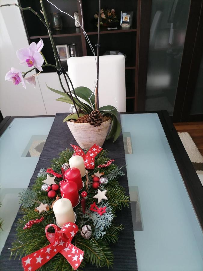 Villa Maya Borşa エクステリア 写真
